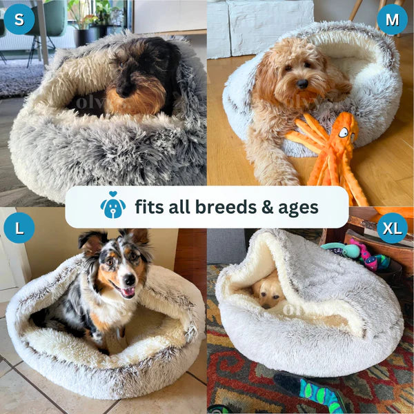 Cozy cocoon - pet bed