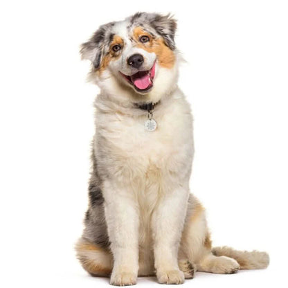 Calming Collar Tag for Dogs